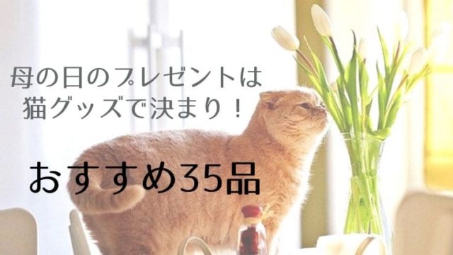 猫グッズの男性向け決定版 実用性があるからこそ喜ばれるもの15選 ねこばやしです