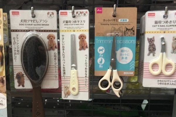 ダイソーの猫用品！うちの猫が使ったリアルな感想とたっぷり写真レポ 